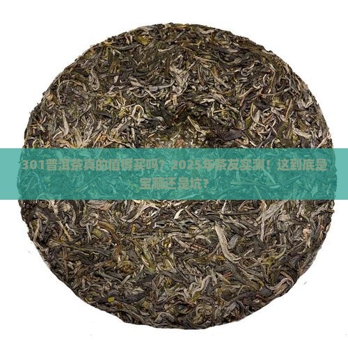 301普洱茶怎么样