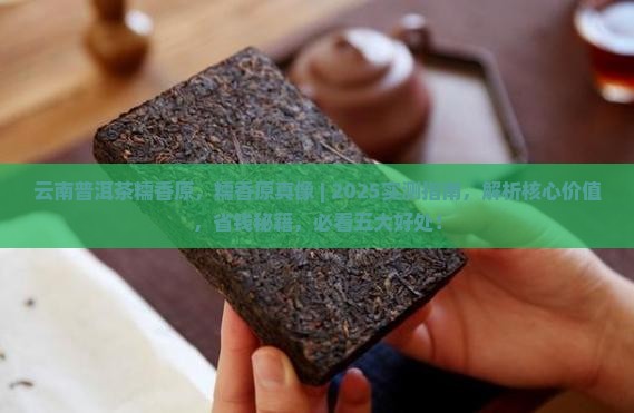 云南普洱茶品牌糯香原