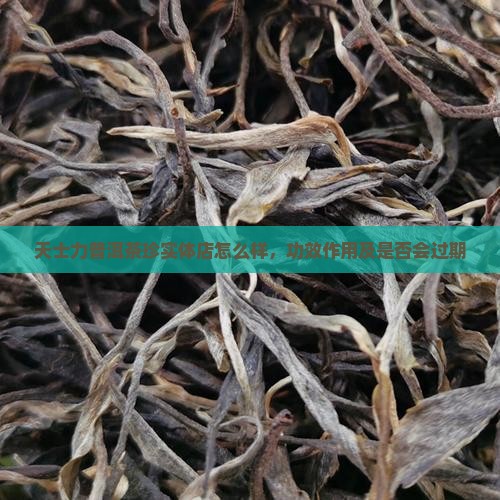天士力普洱茶珍实体店