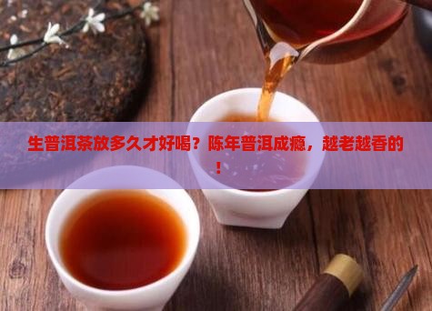 生普洱茶放多长时间好喝