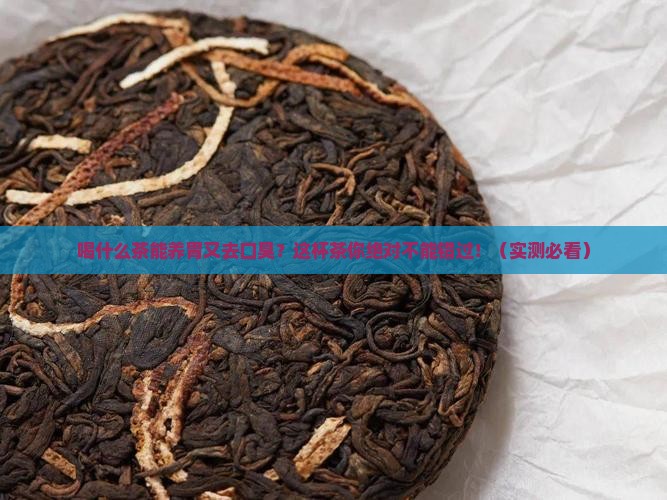 喝什么茶有助消化养胃去口臭