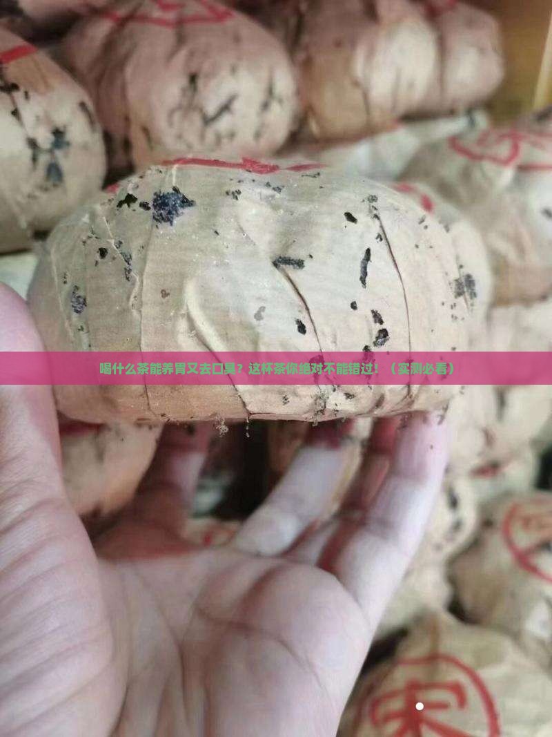喝什么茶有助消化养胃去口臭