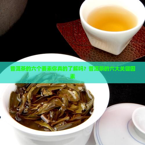 普洱茶的六个要素