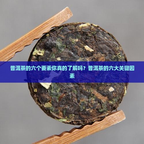 普洱茶的六个要素
