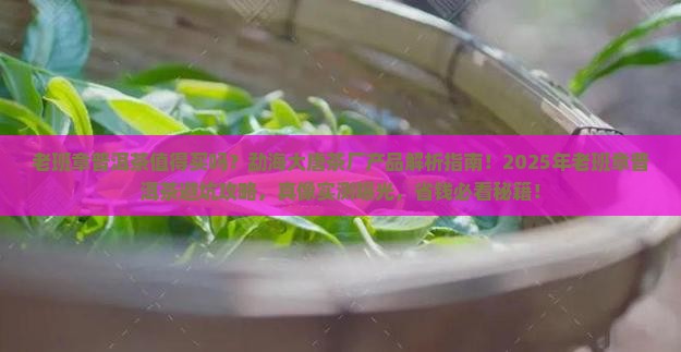 老班章普洱茶勐海大唐茶厂