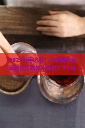 小青柑熟普洱茶怎么样喝