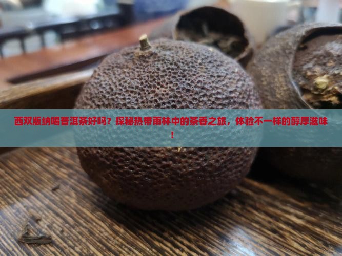 西双版纳喝普洱茶好吗