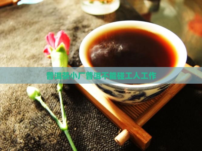 普洱茶不能碰小厂工人工作