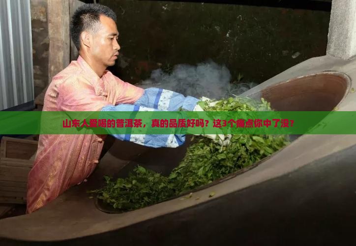 山东品质好的普洱茶