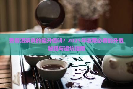 熟普洱茶的升值空间