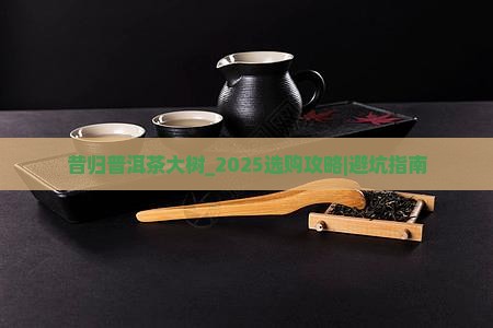昔归普洱茶大树