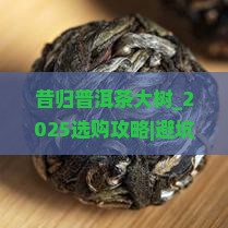昔归普洱茶大树