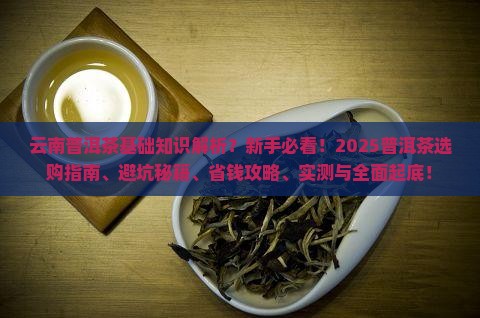 云南普洱茶基础知识知识