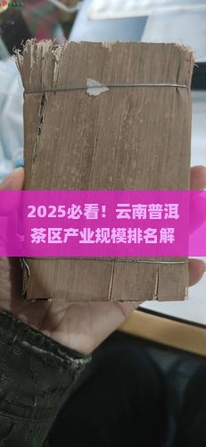 云南普洱茶区产业规模排名