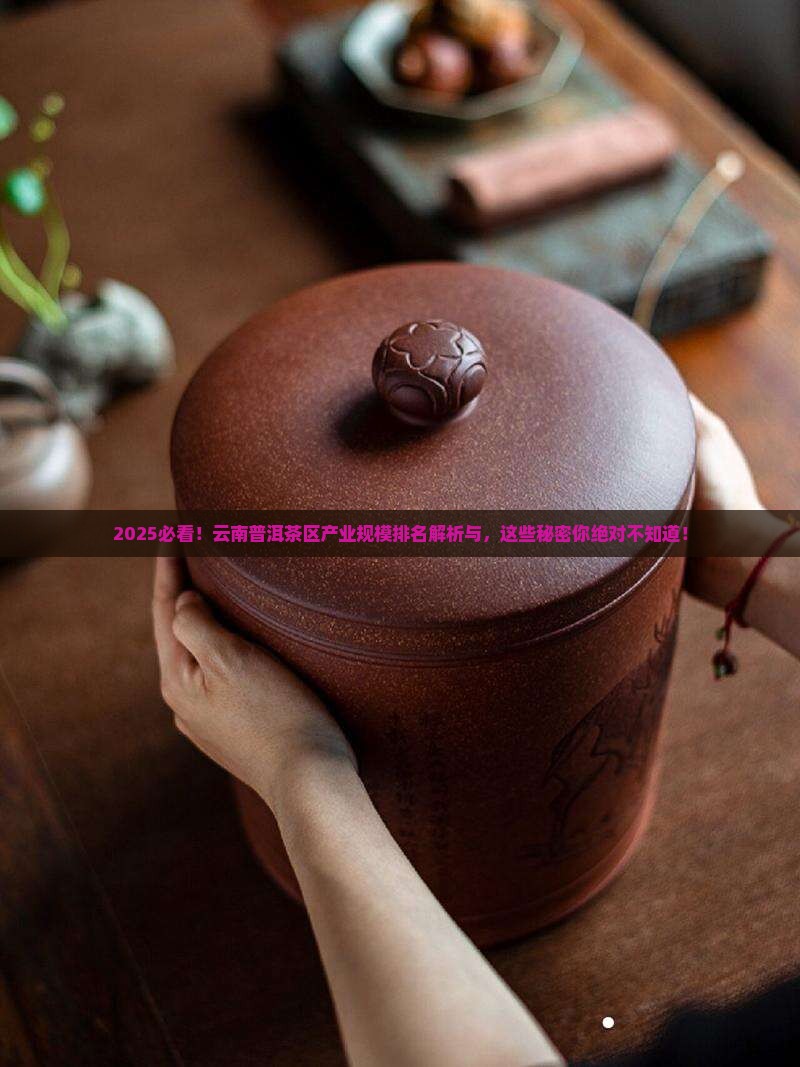 云南普洱茶区产业规模排名
