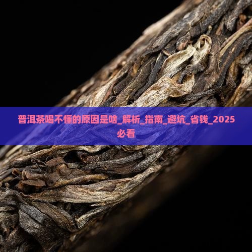 普洱茶喝不懂的原因是啥