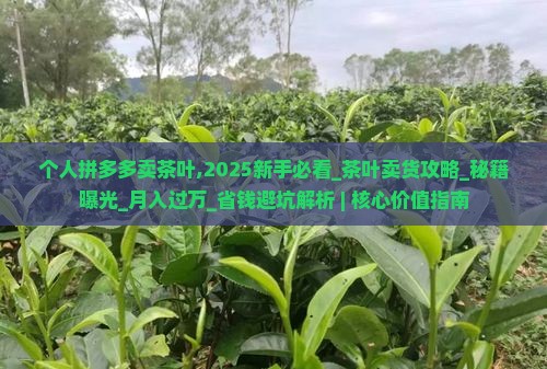 个人拼多多卖茶叶