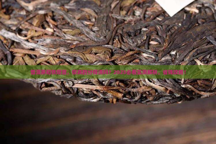 普洱茶和铁观音的不同