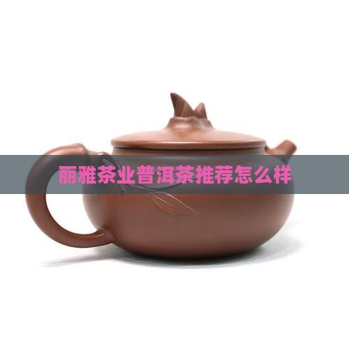 丽雅茶业普洱茶怎么样