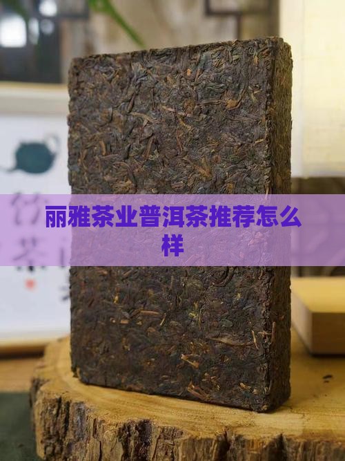 丽雅茶业普洱茶怎么样