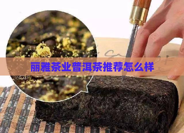 丽雅茶业普洱茶怎么样