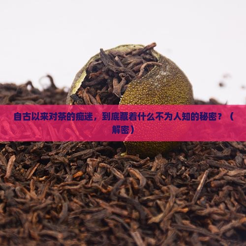 自古以来对茶的