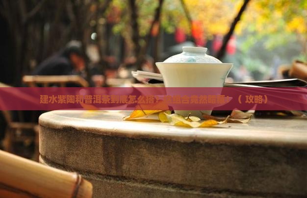 建水紫陶与普洱茶的关系