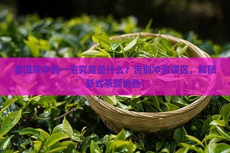 普洱茶中的一泡是什么