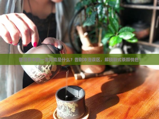 普洱茶中的一泡是什么
