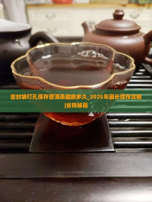 密封袋打孔保存普洱茶能放多久