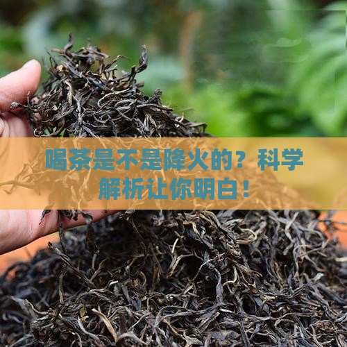 喝茶是不是降火的
