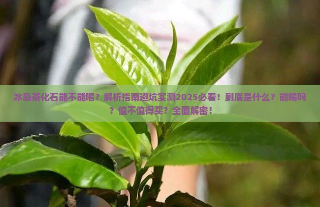 冰岛茶化石能不能喝