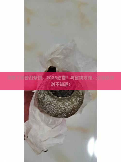霉变了的普洱茶饼