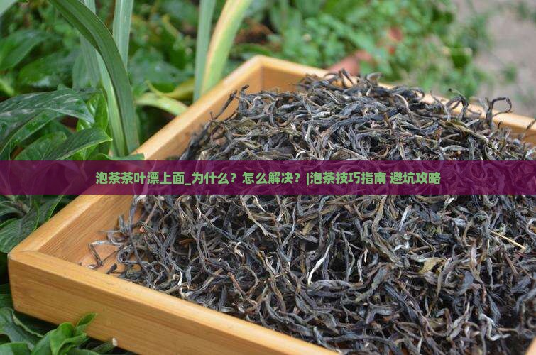 泡茶茶叶漂上面