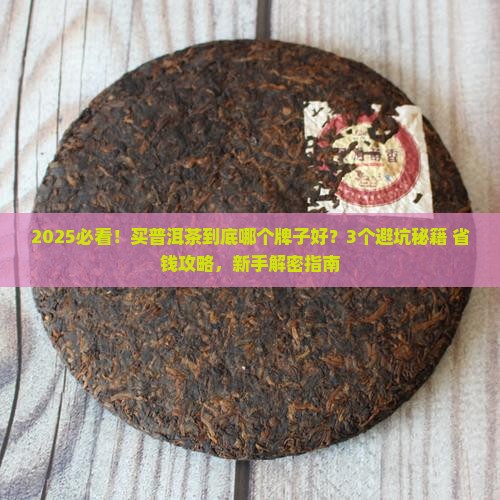 买什么牌子的普洱茶