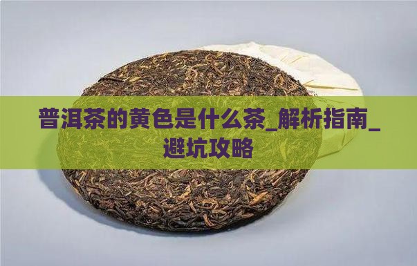 普洱茶的黄色是什么茶