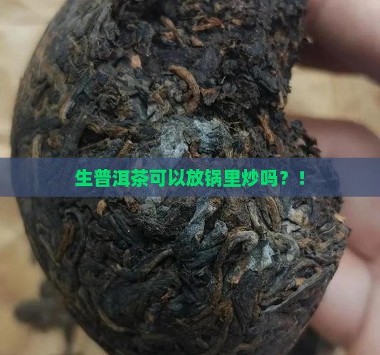 生普洱茶可以放锅里炒吗
