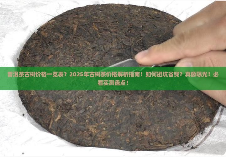 普洱茶古树价格一览表