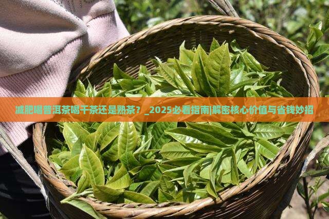 减肥喝普洱茶喝干茶还是熟茶