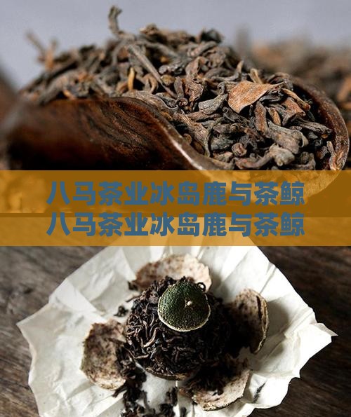 八马茶业冰岛鹿与茶鲸
