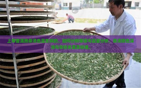上等普洱熟茶汤色是怎样的