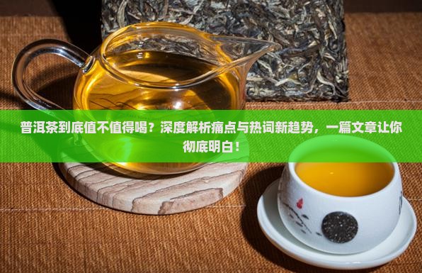 普洱茶的介绍和特点