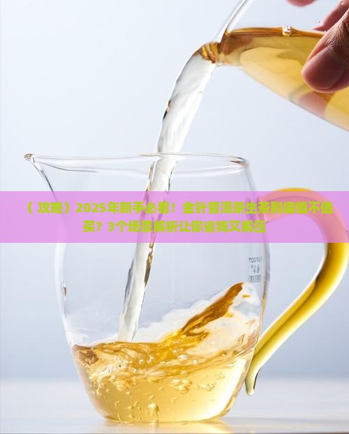 金针普洱茶生茶