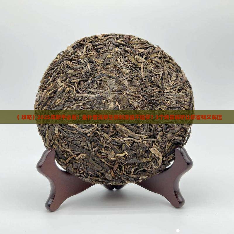 金针普洱茶生茶