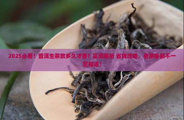 普洱茶生茶放多久好