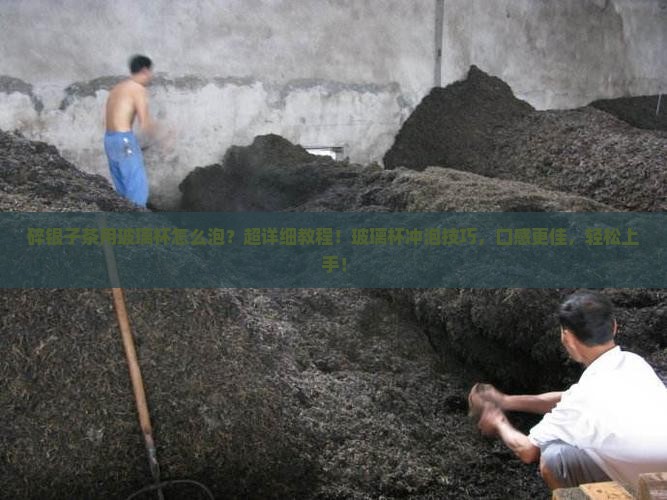 碎银子茶用玻璃杯怎么泡