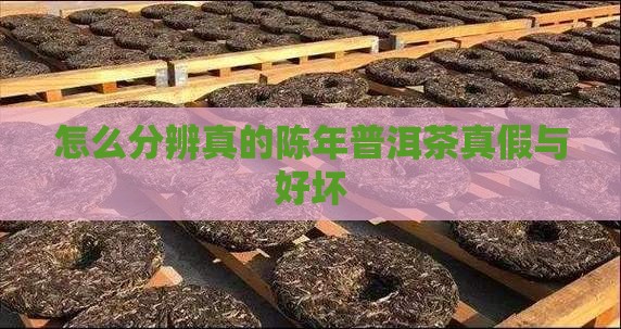 怎么分辨真的陈年普洱茶 怎么分辨真的陈年普洱茶