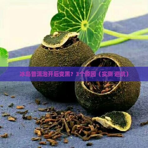 冰岛普洱茶泡后的叶片颜色