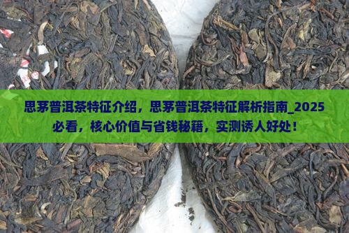 思茅普洱茶特征介绍