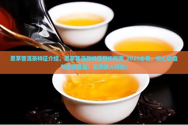 思茅普洱茶特征介绍